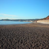 Sunny January 2012 007