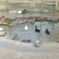 Sunday 19th November 002