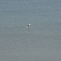 A walk around on Saturday afternoon 008