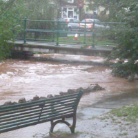 Dawlish Brook 30th December 2015 010
