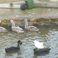 sunday 19th november 001