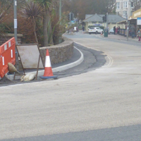 New cycle path plus swans nesting 006