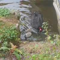 sunday august 28th 2016 001