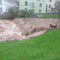 Dawlish Brook 30th December 2015 006