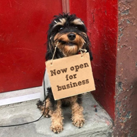 dog-with-sign