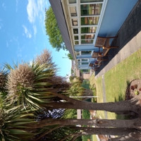 IMG_20220606_130647127_HDR