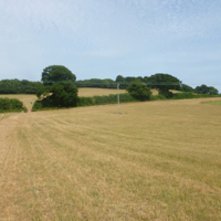 A taste of the Country Park at Port Road 012