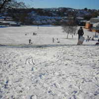 Christmas 2010 065-1