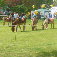 Bank holiday Saturday 007