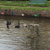 20160501_120955374_iOS