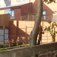 New houses in the woods 013