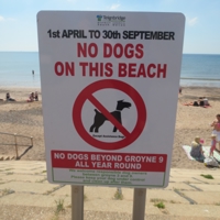 'NO DOGS ON THIS BEACH' !!!!!!!!