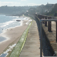 Easter Monday 2015 002