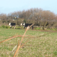 A lovely start to March