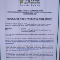 Pics Dawlish 31 03 2018