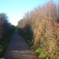 Sunny January 2012 012