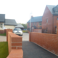 New houses in the woods 006