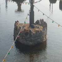 The new cygnets 2016 007