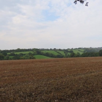 Interesting find on walk this a.m.