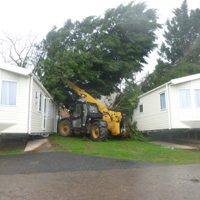 Storm damage at Ladys Mile 007