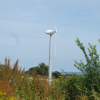 A taste of the Country Park at Port Road 007