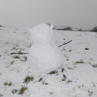 A few more snow pics March 2018 006