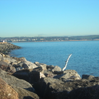 Sunny January 2012 010