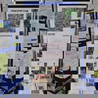 The Future of the Lawn - Part 3