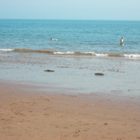 October 2nd 2011 in Dawlish 006