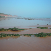 Dawlish Beach in Autum 011