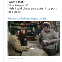 bluepassports