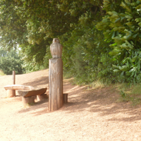 A taste of the Country Park at Port Road