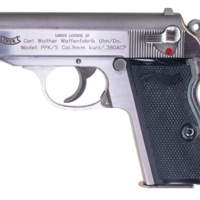 Should weapons be issued