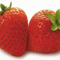 Rain-brings-threat-to-fruit-farms-25265