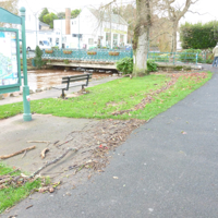 The Morning After The Floods 010