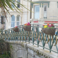 Planting Volunteers 002