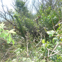 Why have these been cut