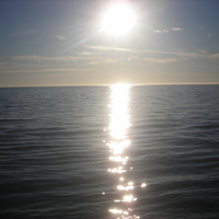 Sunny January 2012 005