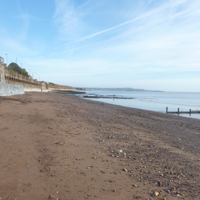 A sunny morning in December 2016 006