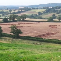 Trenches dug in field parallel to Langdon road!