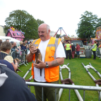 Carnival 2012 Ferret Racing