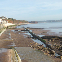 A sunny morning in December 2016 004