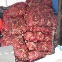 Hunderds of stinky crab, Teignmouth Quay 04th Dec 2016.