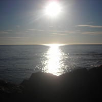 Sunny January 2012 009