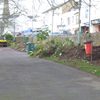 The Regeneration Begins 001-1