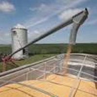 ANd9GcTCUZIYoRJw19SYgLt24W3NKWBjwBgYYypmvp9wiw5F9JUWeX8h8Z8v