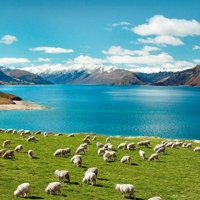 new-zealand