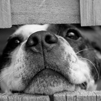 FD10BA41-3E4E-4FDB-806A-A0808ABC48FB