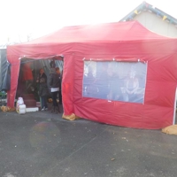 Carnival Christmas Market