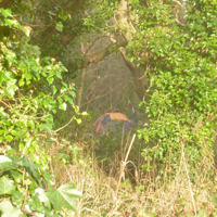 A freezing cold December 1st 001